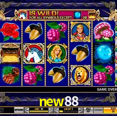 new88 Rio de Janeiro - Bonus Terms